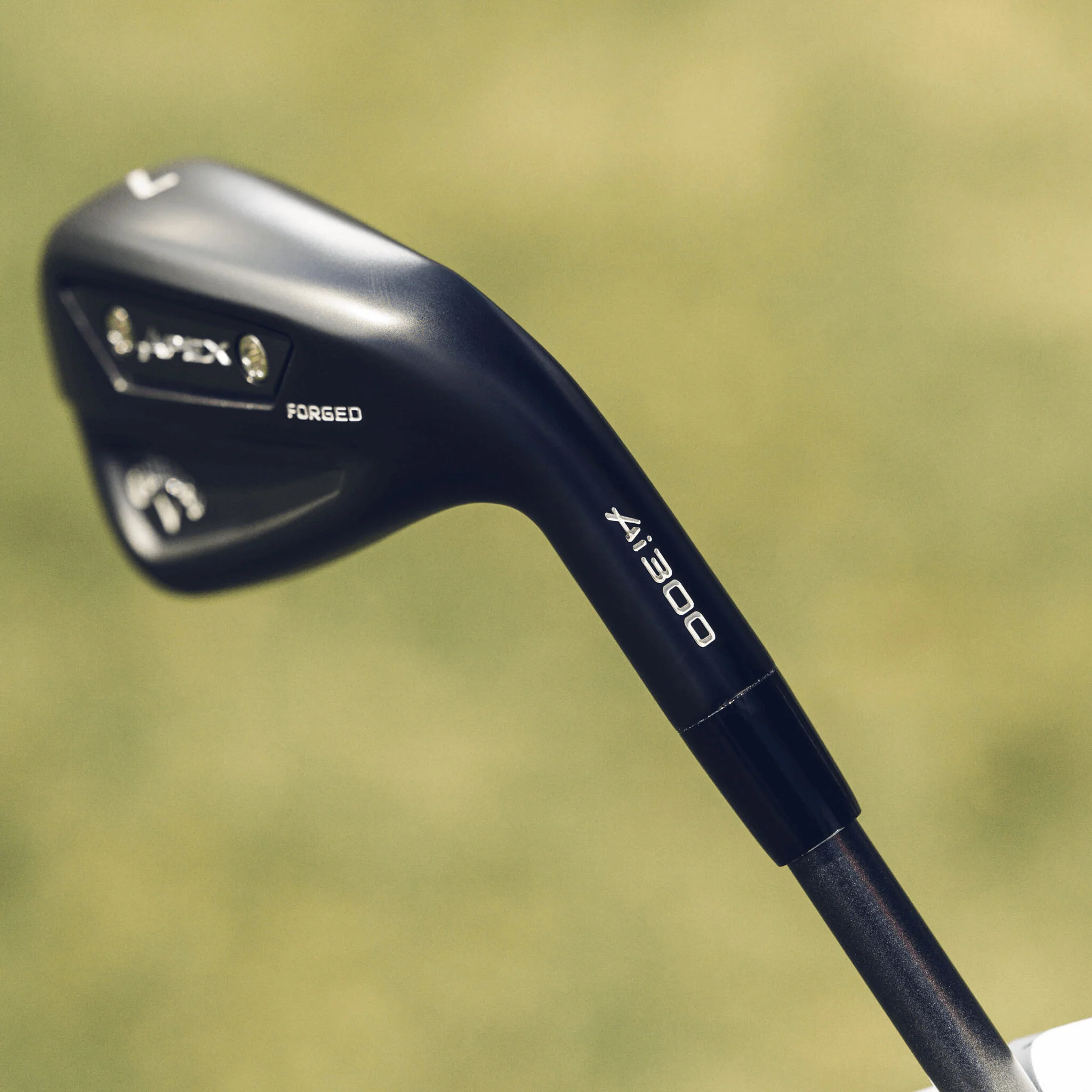 Apex Ai300 Black Shadow Irons - Image 2