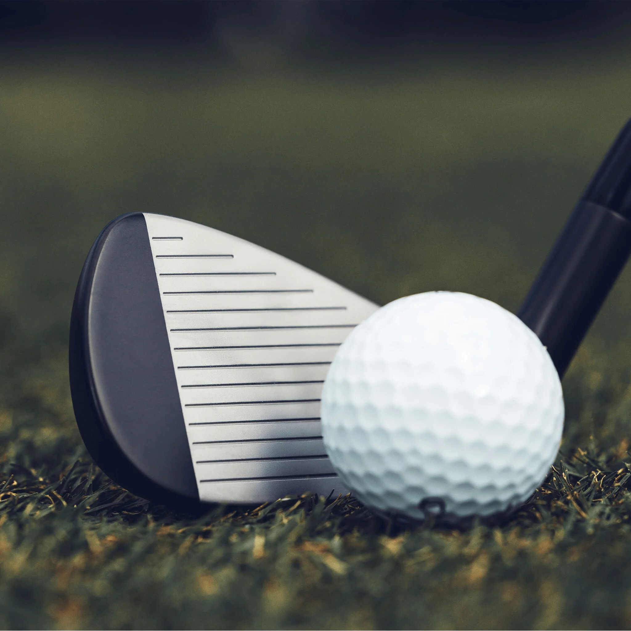 Apex Ai300 Black Shadow Irons - Image 4